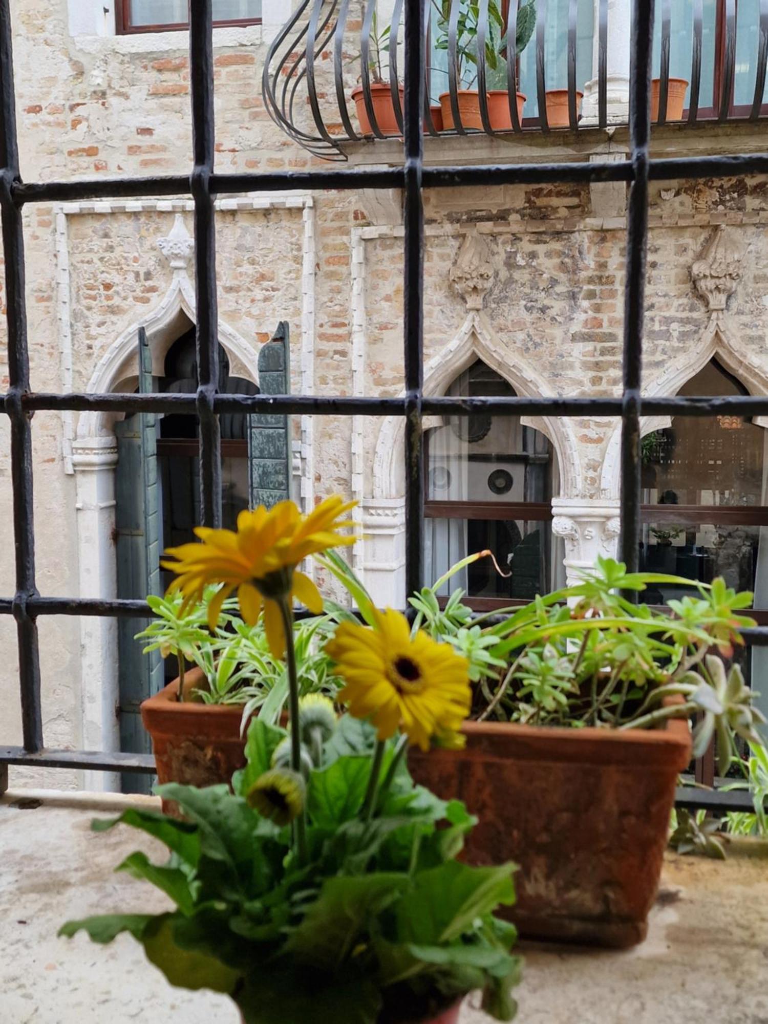 Ca Barbaro -appartamenti Storici- Venezia